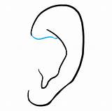 Ear Draw Drawing Step Easy sketch template