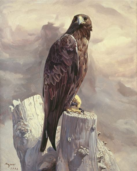 golden eagle portrait painting  wildlife art  manuel sosa