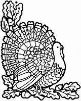 Coloring Pages Thanksgiving Turkey November Printable Pdf Adults Kids Color Sheets Head Print Adult Printables Getcolorings Advanced Template Printouts Getdrawings sketch template