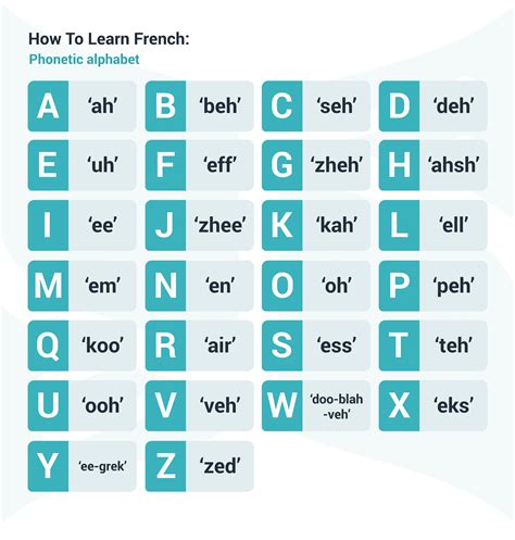 learn french fast  step  step guide  beginners learn