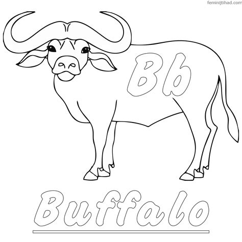 african buffalo coloring page  buffalo coloring pages  print