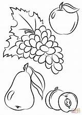 Salad Fruit Drawing Getdrawings Coloring sketch template