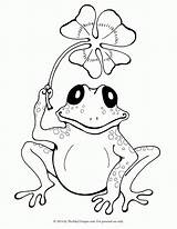 Frog Frogs sketch template