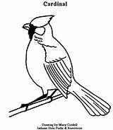 Cardinal Coloring Pages Cardinals Red Flying Bird Logo Drawing Getdrawings Northern Louis St Printable Line Getcolorings Color Colorings sketch template