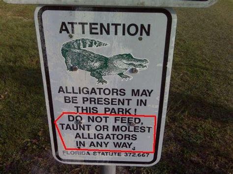 8783255 the florida man arrested for raping an alligator
