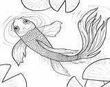 Koi Fish Coloring Printable Water sketch template