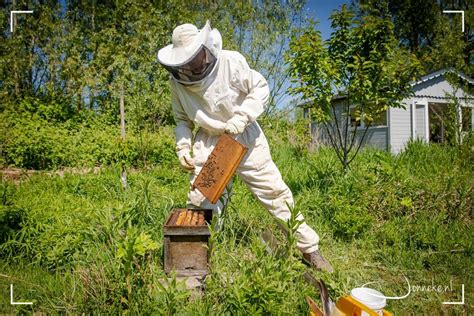 ontmoeting met imker en de bijen jonnekenl