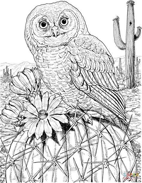 mexican spotted owl  cactus super coloring detailed coloring pages