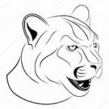 Cougar Tattoo Drawing Face Stock Illustration Tattoos Outline Characters Drawings Vector Flanker Depositphotos Getdrawings Clip Fictional Disney sketch template