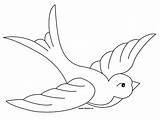Hirondelle Oiseau Swallow sketch template