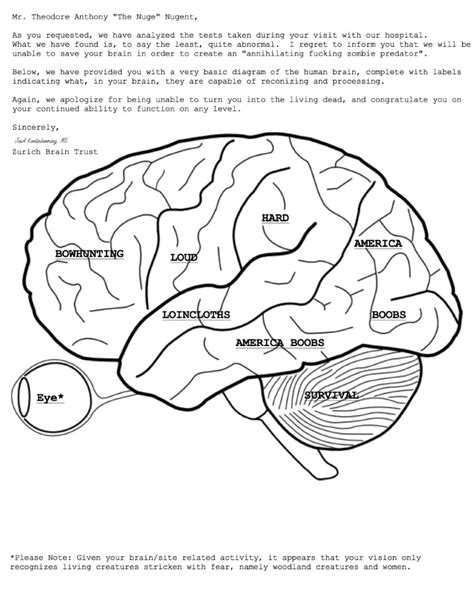 printable brain anatomy coloring pages printable word searches