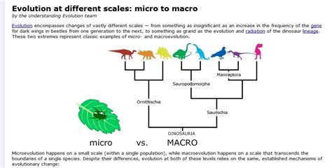 Macro Vs Microevolution Dragonflyissuesinevolution13 Wiki Fandom