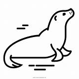 Foca Piel Mewarnai Ski Earless Seal Telinga Focas Pngegg Binatang Hiclipart Ultracoloringpages sketch template