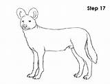 Dog Wild African Draw Drawing Coloring Dogs Getcolorings Getdrawings Pages Step sketch template