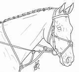 Dressage Tack Lineart Ievent sketch template