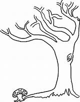 Leafless Caule Branch Bare Stencils Salvo Leaf Coloringkidz sketch template