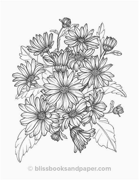 daisy coloring page printable flower coloring pages coloring pages