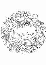 Mandala Coloriage Baleine Animaux Marin Hugolescargot Colorier Hugo sketch template