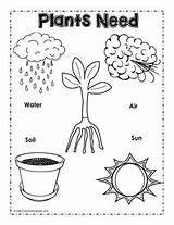 Plants Need Plant Needs Poster Worksheets Activities Preschool Kindergarten Kids Coloring Do Science Pages Parts Worksheet Grade Sunlight Worksheetplace Classroom sketch template