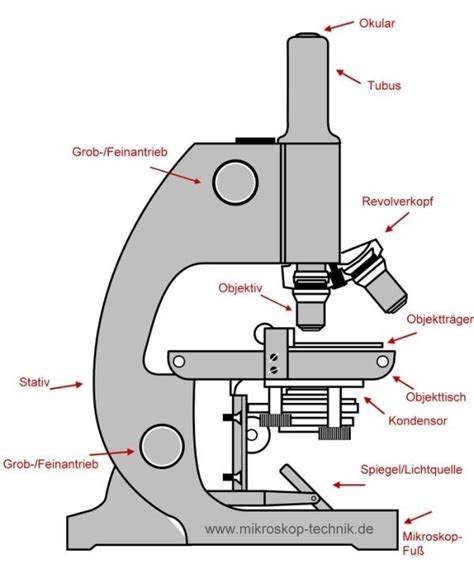 parts   microscope labeled  german