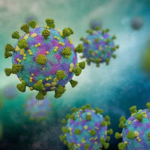 mumps virus antigens archives  native antigen company