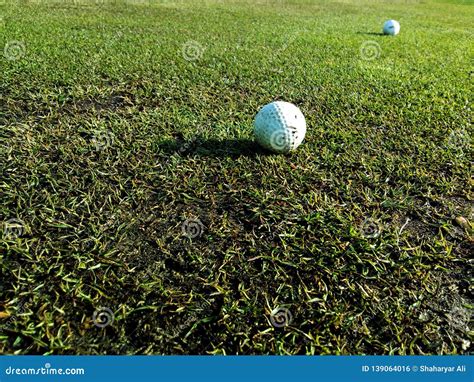 golf balls   grass stock photo image  resort