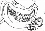 Coloring Shark Getdrawings Hammerhead Pages sketch template