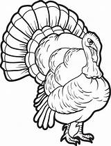 Coloring Turkey Pages Printable Kids Thanksgiving Drawing Print Head Color Realistic Cooked Fun Adult Sheets Filminspector Clipartmag Mpmschoolsupplies Choose Getcolorings sketch template