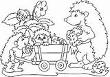 Hedgehog Coloring Strawberries Ausmalbilder Igel Herbst Ausmalbild Ausdrucken Kostenlos Zum Pages Und Malvorlagen Colouring Family Kinder Tiere sketch template