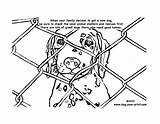 Shelter Coloring Animal Pages Dog Dogs Colouring Drawing Shelters Girl Control Stop Adoption Cruelty Print Getdrawings Scouts Kids Paw Choose sketch template