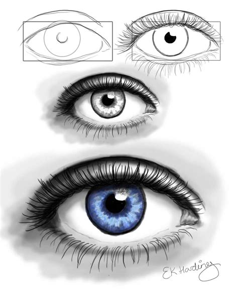 draw  eye eye drawing tutorial digital tutorial  https