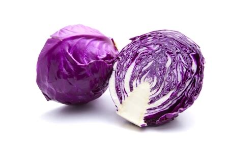 types  cabbage