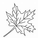 Coloring Pages Leaf Leaves Malvorlagen Ausmalbilder Maple Color Blätter Autumn Window Tree Herbstblätter Trees Kostenlos Fall Printable Kinder Blatt Herbst sketch template