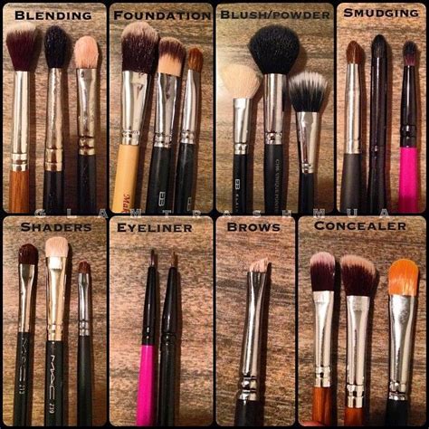 makeup brushes guide best makeup brushes makeup brushes