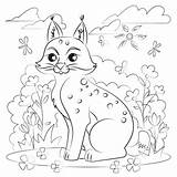 Coloring Bobcat Pages Printable Supercoloring Categories Bobcats sketch template
