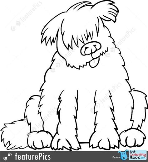 newfoundland dog coloring page  amazing svg file