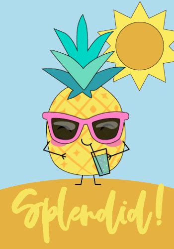Summer Sun  By Pineapple Clothing Find And Share On Giphy