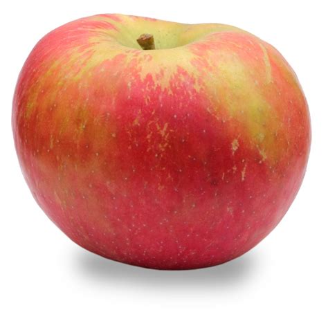honeycrisp apples bulk natural foods