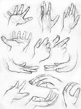 Hand Hands Drawing Sketch Reference Anatomy Sketches Designs Poses Choose Board Draw López Marta Fdez sketch template