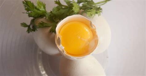101 Cara Memisahkan Kuning Telur Dan Putih Telur Lengkap Dengan Video