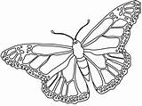 Mariposa Monarch Monarca Schmetterling Mariposas Monarcas Papillon Monarque Printables Cocoon Pixgood Coloringhome sketch template