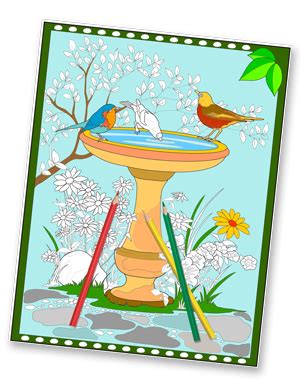 bird bath coloring page delfyn studios