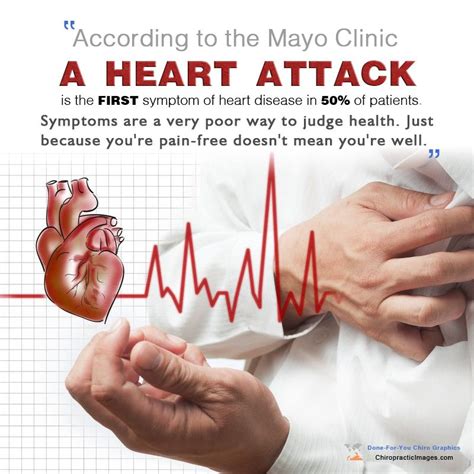 touchofwellnesschiro heart hearts cardiology cardiovascular
