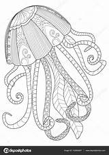 Jellyfish Meduse Zentangle Coloritura Adulti Vettore sketch template