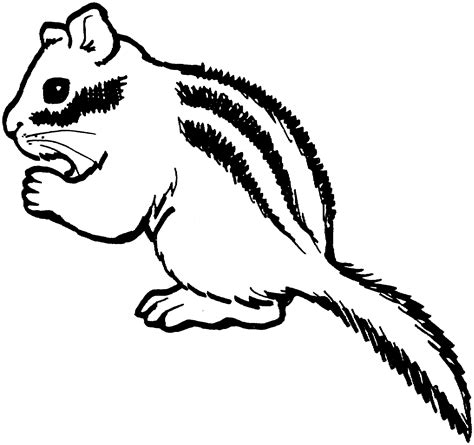 animal archives page     coloring pages  kids