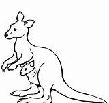 Kangaroo Printable Coloring Pages Preschool Drawing Kids Easy Getdrawings Getcolorings sketch template