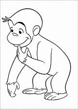 Affe Curious Mewarnai Monyet Lucu Affen Tokoh Malvorlagen Neugierige Gorilla Bestappsforkids Terlengkap Binatang Warnaigambartk sketch template