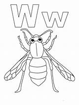Pages Wasp Coloring sketch template