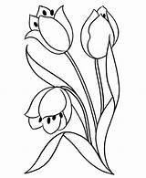 Tulipano Fiore Tulpen Ausmalbild Tulpe Tulip Tulp Potete Cambiare Caso sketch template