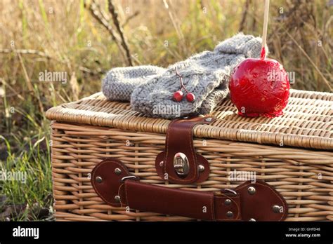 vintage picnic  res stock photography  images alamy